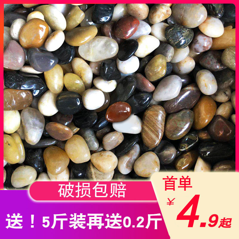 Cobblestone rain stone rough stone fish tank landscaping flower pot plant natural small stone multicolored stone Goose soft stone color stone