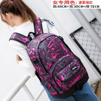 Кампания роза красная