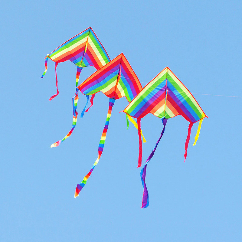 Young children small kites Traditional children Microwind easy to fly outdoors Good for good quality small beginners small children special