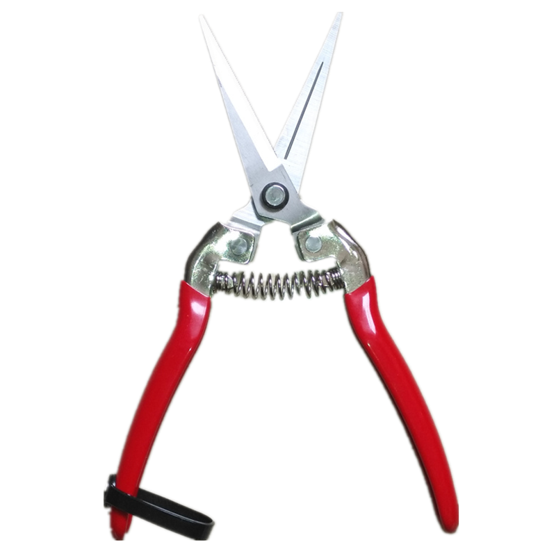 Shiitake foot scissors Shiitake leg scissors single and double scissors Shiitake mushroom root special fruit picking farmers with stainless steel shiitake mushroom scissors