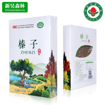 Xinhao Forest Boxed Hazelnuts 400g Northeast Specialty Souvenirs
