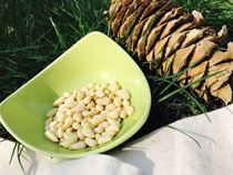 Yisongyiyi hand-selects red pine nuts from Changbai Mountain in Northeast China. The original flavor is sold every autumn.