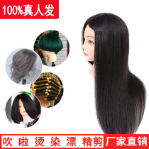 Model hair barber shop practice hairdressing hairdressing fake head model head full-life hair apprentice can be scalded and dyed