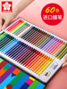 Japanese Sakura Brand Plastic Crayon Set with Fine Tips, Non-Staining, Suitable for Kindergarten, Children's Drawing, Elementary School Students, Colorful, Non-Sticky, Erasable, Triangular Crayons