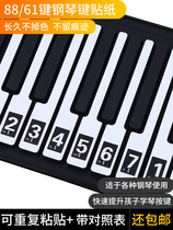 Electric Piano Keyboard Sticker Handroll Key Sticker 54 61 88 Key Numeric Notes Phonetic Accessories