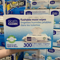 Shanghai costco USA NICE N CLEAN FLUSH WET TOILET NAPKINS 60 PUMPING * 5 BOXES OF EXTRACTABLE FAMILY CLOTHING
