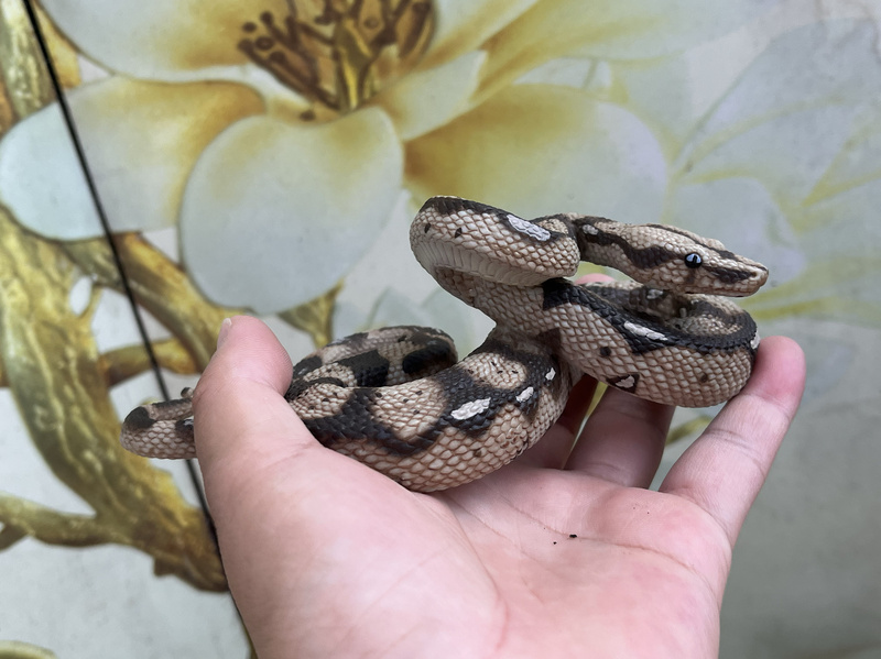 Safari Genuine Giant Python 266529 Ball Python Simulated Reptile Model Kidsren's Toy Ornaments