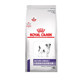 Royal SM25 Small Senior Dog Professional Formula Food 1.5kg ອາວຸໂສສູດອາຫານຫມາສໍາລັບຫມາຜູ້ໃຫຍ່ທີ່ມີອາຍຸຫຼາຍກວ່າ 8 ປີສົ່ງຟຣີ