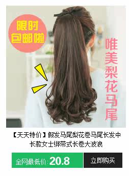 Extension cheveux - Ref 217413 Image 10