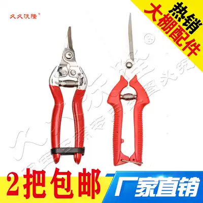 Picking fruit vineyard fruit picking tools scissors to repair flowers and trees, tree shears, large scissors, Greening garden art scissors