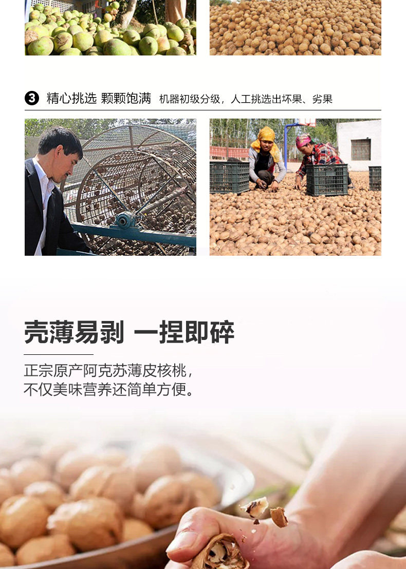 新疆阿克蘇185原味紙皮核桃