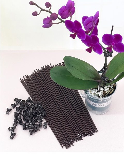 Phalaenopsis orchid bracket orchid clip support rod plant climbing vine flower fixed special flower bracket ການເຮັດສວນ orchid clip