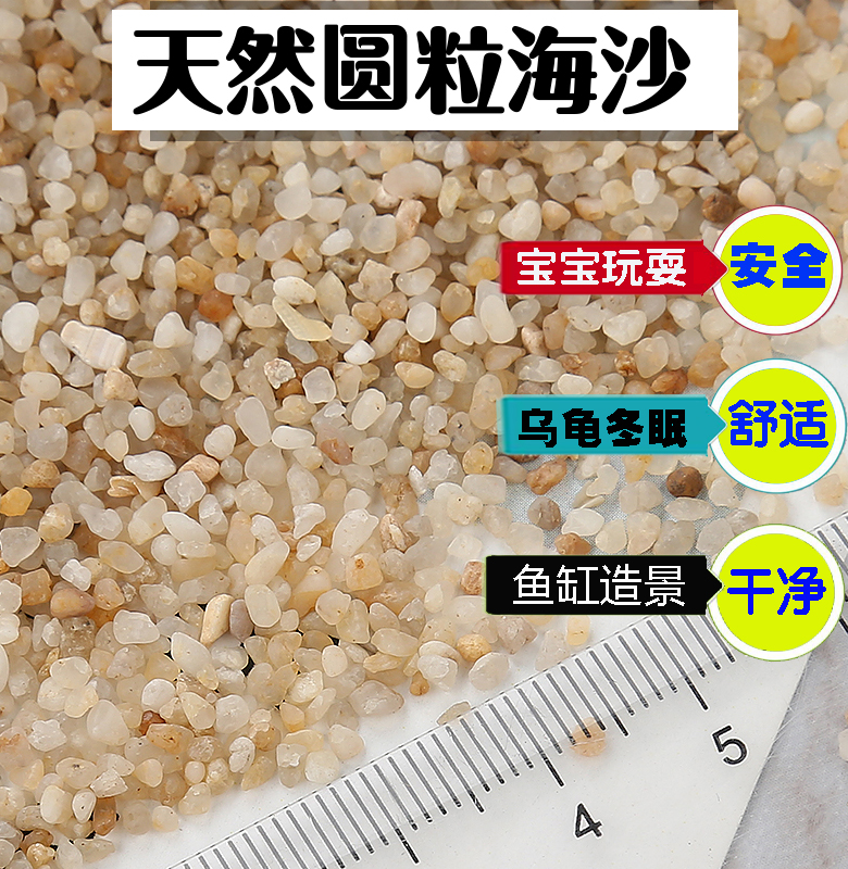 Natural sea sand fish tank bottom sand water ethnic group view sand small stone shell sand laying surface sand river sand turtle sand toy sand