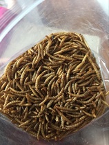 Dried bread worms dry mealworms 500g nutritional protein hamster grain turtle grain pet supplies bird fish feed