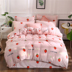 San hô chăn đơn mảnh mùa đông dày hai mặt flannel quilt bìa sinh viên ký túc xá đơn 1,5 m fa nhung chăn siêu nhẹ Quilt Covers