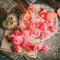 Rose led light string net Red Girl heart romantic proposal room decoration bedroom confession indoor scene layout