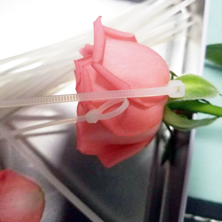 Nylon Tie 1 5 Yuan 20 Fixed Climbing Ladder Fixed Lounge Fixed Breeding Net