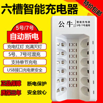 6 slot smart charger for No 5 No 7 rechargeable battery KTV wireless microphone Toy camera battery charger