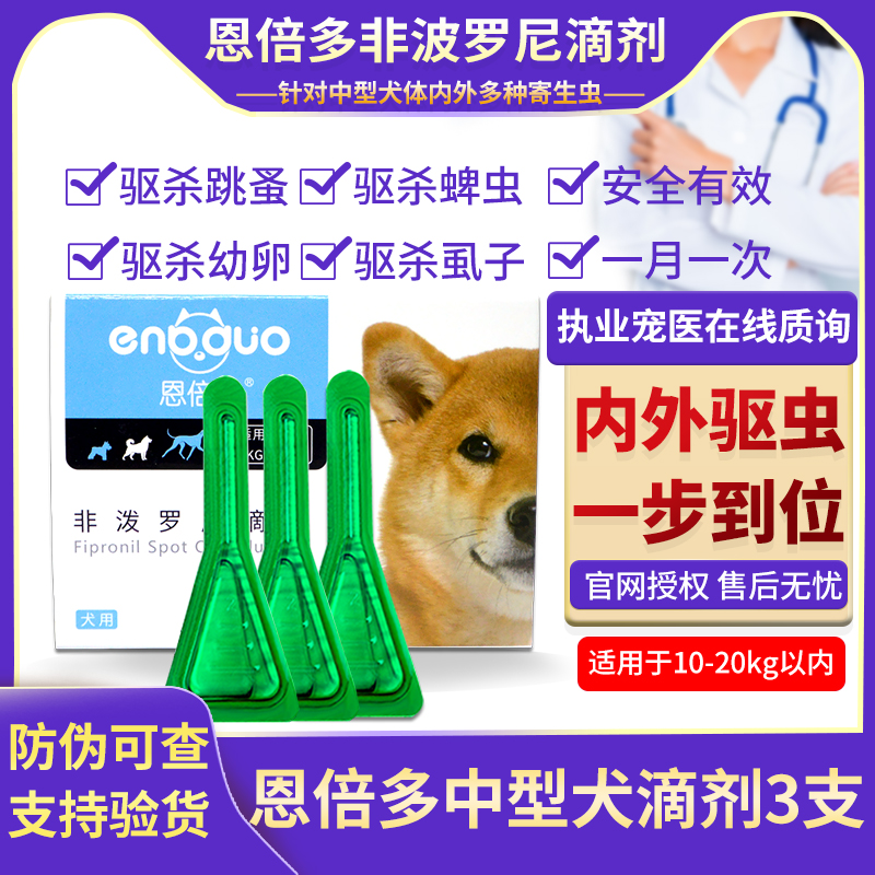 Nfold the midsize dog with a chai dog reptile 1 in vitro drip for external use of mites flea lice wall lice