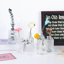 ins Wind glass mini Vase ornaments living room flower arrangement room decoration hydroponic restaurant model room French bottle