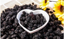 Desert pollution-free mulberry dried 500 grams can be soaked in water Healthy snacks Xiaozhili Xinjiang delicious specialties