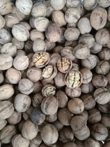 Hetian old tree walnuts 33 walnuts Xinjiang straight hair new walnuts natural no processing promotion buy five get one free