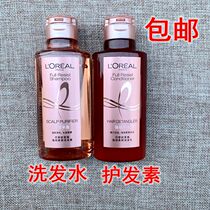 Aujia Ginger Shampoo SHAMPOO 100ml STRONG LIGAMENT FLUFFY WASH JACKET Anti-Break Hair Control Oil