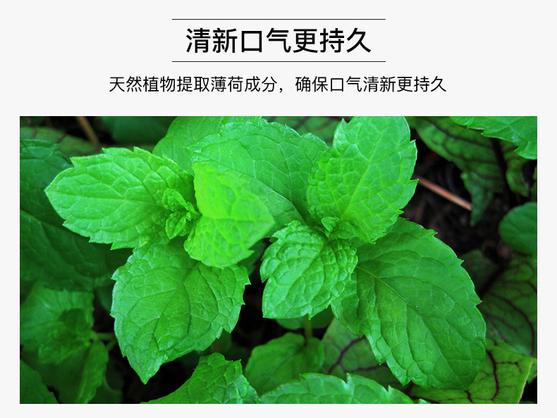 蜂胶牙膏_05.jpg