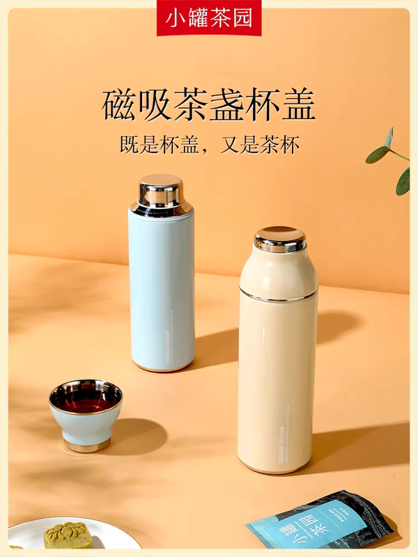 Small Tea Pot Travel Tea Set with Tea-Water Separation and Insulation, 600ml