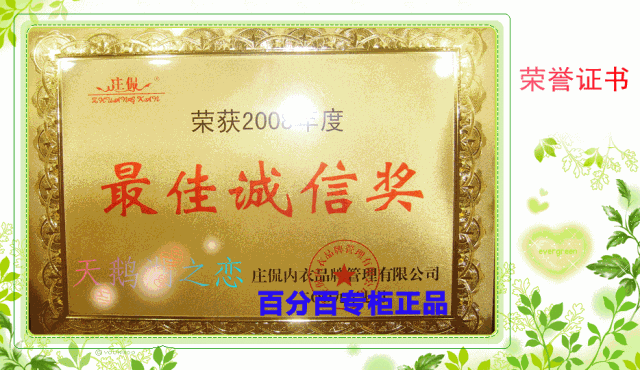 Sous-vêtement minceur simple en coton - Ref 688266 Image 28