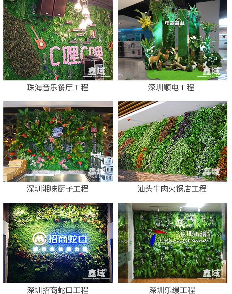 Nhà máy mô phỏng tường cây xanh tường giả cây trang trí tường cửa hàng hình ảnh tường cỏ nền tường giả hoa tường màu xanh lá cây tường - Hoa nhân tạo / Cây / Trái cây cây xương rồng giả