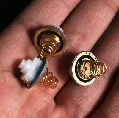 1aa 18650 switch assembly with gold-plated Spring