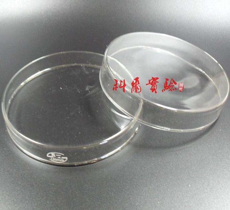 实验室培养皿 加厚 细胞细菌培养皿60/75/90/100/120/150mm 器皿