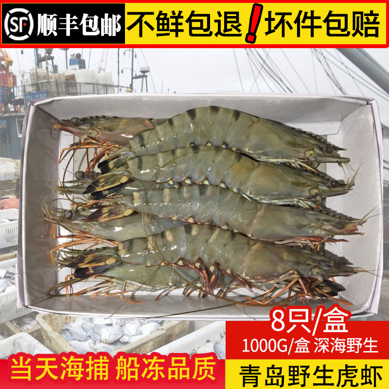 Qingdao Great Shrimp Mega Black Tiger Shrimp Sea Shrimp Overfreeze Shrimp 8 Only 1000g Shunfeng