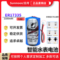Riyue ER17335 Petroleum Equipment Instrumentation PLC Industrial Control Servo Drive IoT 3 6v Lithium Battery