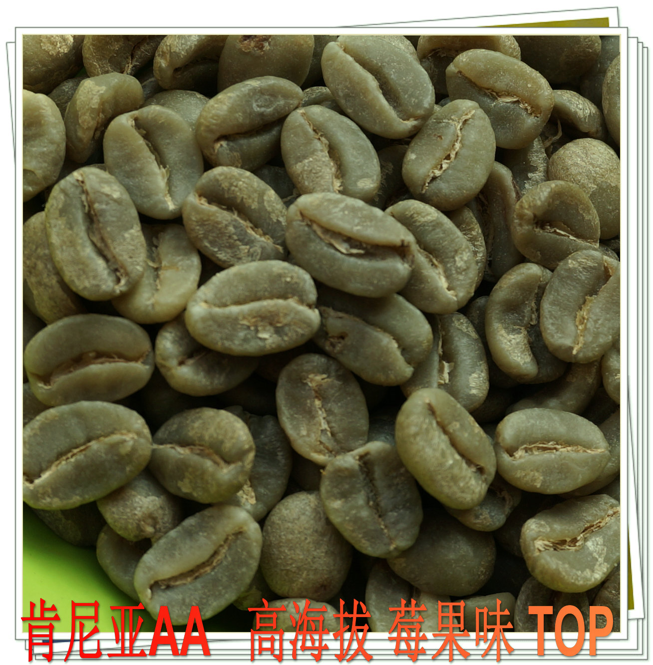 2021 Africa Kenya AA High Altitude Berry Flavored Coffee Green Beans 500g