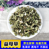 Motherwort 1000 Grams Wild Fresh Dry Goods Chinese Herbal Medicine Bulk Motherwort Authentic Chinese Herbal Tea Bubble Feet