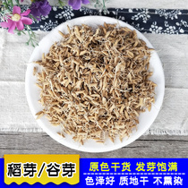 Raw dao ya 500g raw malt otherwise sheng mai ya Chinese herbal medicines have chao dao ya chao gu ya double Bud Valley teeth