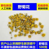 Fresh Sundry Chrysanthemum Wild Chrysanthemum 500 gr Chinese herbal medicine Bulk Chrysanthemum Tea Roadside Wild Chrysanthemum Dry Rice