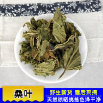 Dried mulberry leaf winter frost pure 500g Frost mulberry leaf tea Chinese herbal medicine bulk natural winter Mulberry Leaf soaked in water mulberry leaf powder