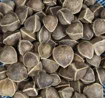 Natural India imported spicy wood seed 500 gr spicy wood seed Bulk positive spicy wood seed
