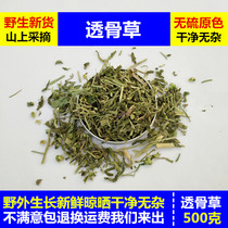 Pearl Tucao Chinese herbal medicine 500g farmer picking Tulan Chinese herbal medicine