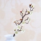 Белый Wintersweet 60см