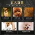 Crazy Puppy Dog Food Teddy Bear Pit Bull Pomeranian Golden Retriever Puppy Chó trưởng thành Loại chung 3 kg - Chó Staples