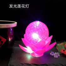 Hotel Catering Sashimi Swing Tray Decoration Sashimi Light Cold Dish adorned with small swing pieces Vegetable Products Creative Flowers And Sushi Trays Accessories