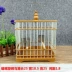 Mới bằng nhựa sáp miệng chim lồng vuông vuông tẩm tắm lồng đồng miệng nhựa chống lão hóa vận chuyển lồng phụ kiện - Chim & Chăm sóc chim Supplies Chim & Chăm sóc chim Supplies