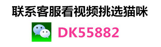 Другие 出售家养可爱粘人其它宠物品种齐全76
