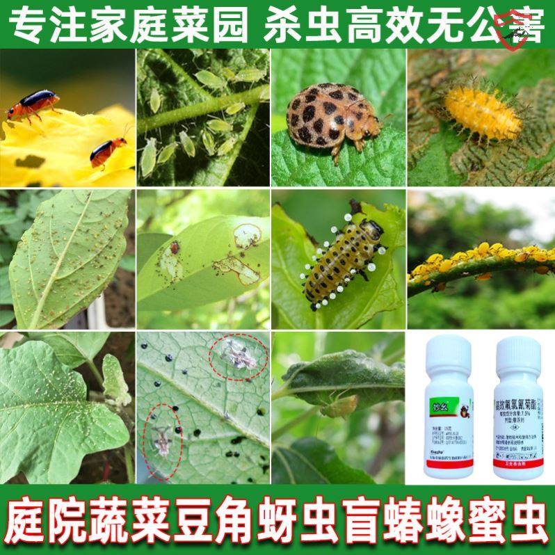 蔬菜殺蟲劑無公害植物花卉青菜月季茉莉除菜蟲藥葉蜂青蟲毛蟲通用