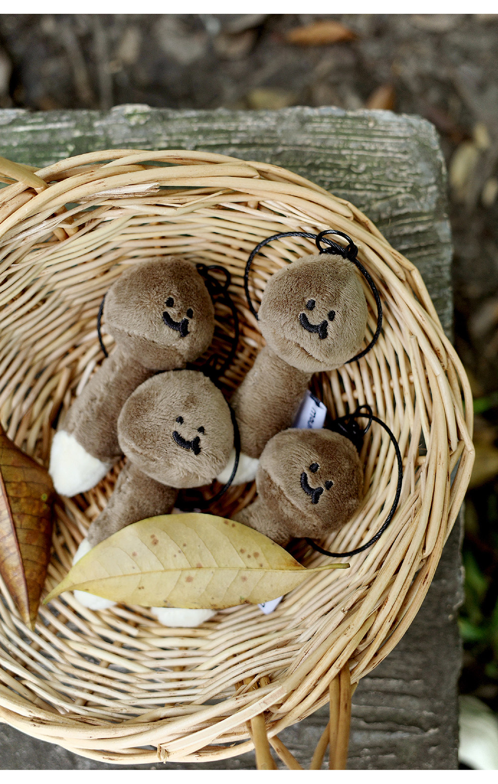 O1CN01STehH01YOUZ1csS4q_!!