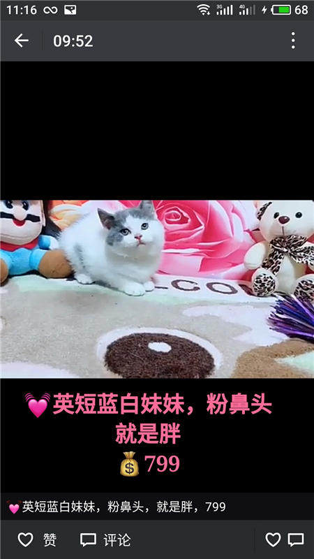 Другие 出售家养可爱粘人其它宠物品种齐全76